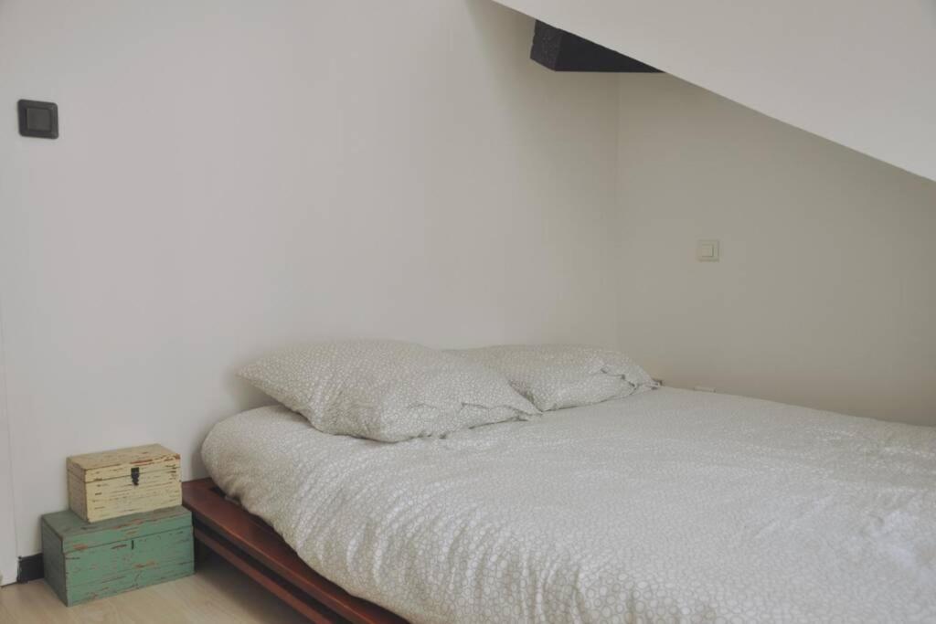 Duplex Avec Belle Terasse Au Centre De Bayonne Daire Dış mekan fotoğraf